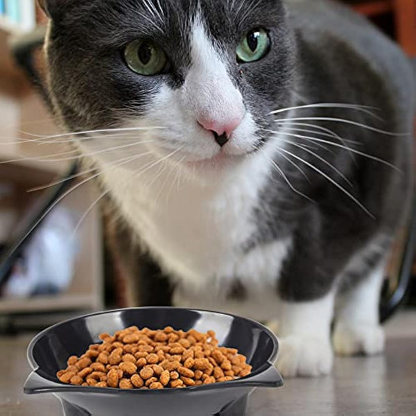 Cotill Cat Bowls, Anti-slip Multi-purpose Cat Food Bowl Pet Water Bowl Cat Feeding Bowl, Set of 3 - Grey/Black/White