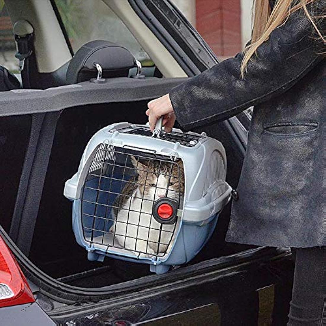 Ferplast Atlas 10 Deluxe Open Cat Carrier Dog Carrier, Secure and Practical, Durable, Open Top Design, Easy to Clean, Ideal for Travel, Pet Carrier up to 5 Kg. 51x34x30 cm.