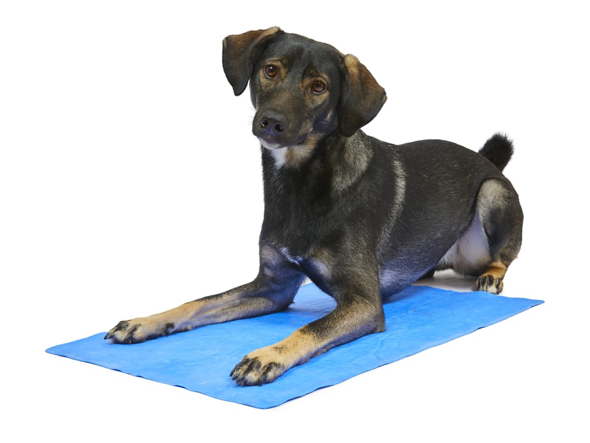 Petface Cooling Summer Dog Coat, 70 cm, Blue