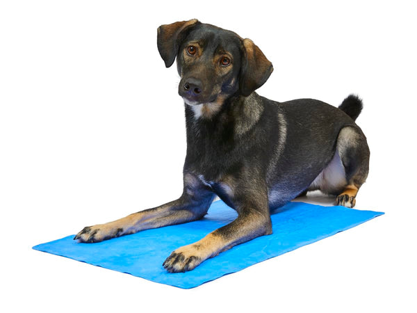 Petface Cooling Summer Dog Coat, 70 cm, Blue