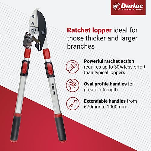 Darlac Telescopic Ratchet Lopper – Recommended by Professionals – Extendable Handles – Powerful Ratchet Action – 50mm Cut Capacity – Ideal for Gardeners with Dexterity Issues - SK5 Carbon Steel Blade