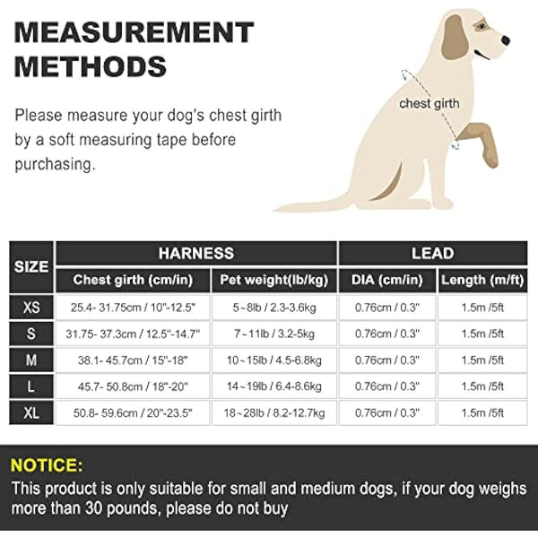 haapaw Dog Harness and Lead Set, No Pull Adjustable Reflective Step-in Puppy Harness with Thickened Padded Vest for Extra-Small/Small Medium Dogs