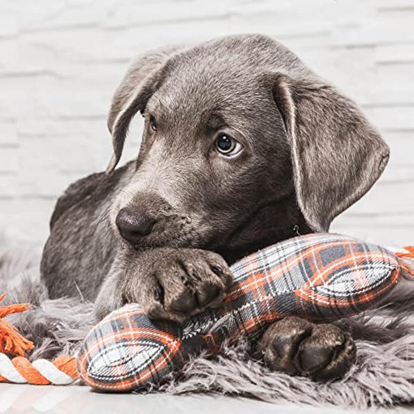 Arden Grange Puppy Junior Large Breed Chicken and Rice, 12kg