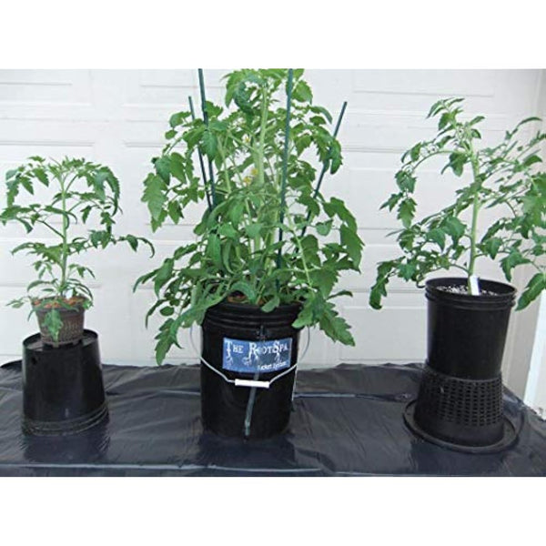 Hydrofarm RS5GAL4SYS Root Spa 4, 5 gallon Bucket system, Black