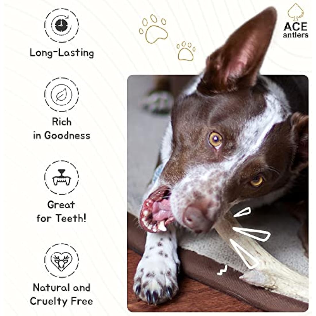 Ace Antlers Deer Antlers for Dogs (XXXXL 400-500g Piece) - Natural Dog Antler Chews for Chewing Satisfaction - 8 Sizes inc Small, Medium and Large Antlers for Puppies and Adult Dogs