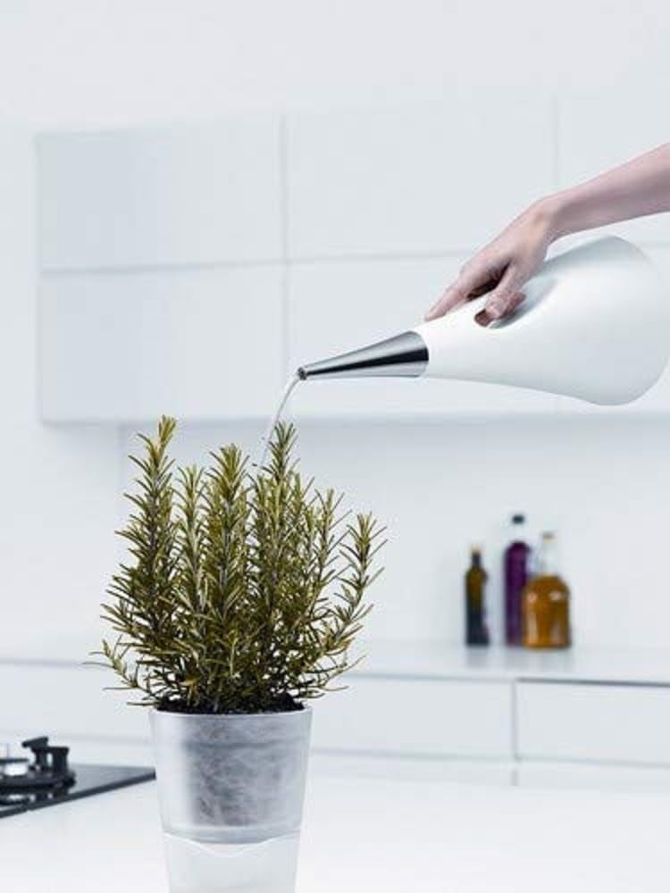 AquaStar Gie?kanne 2 l