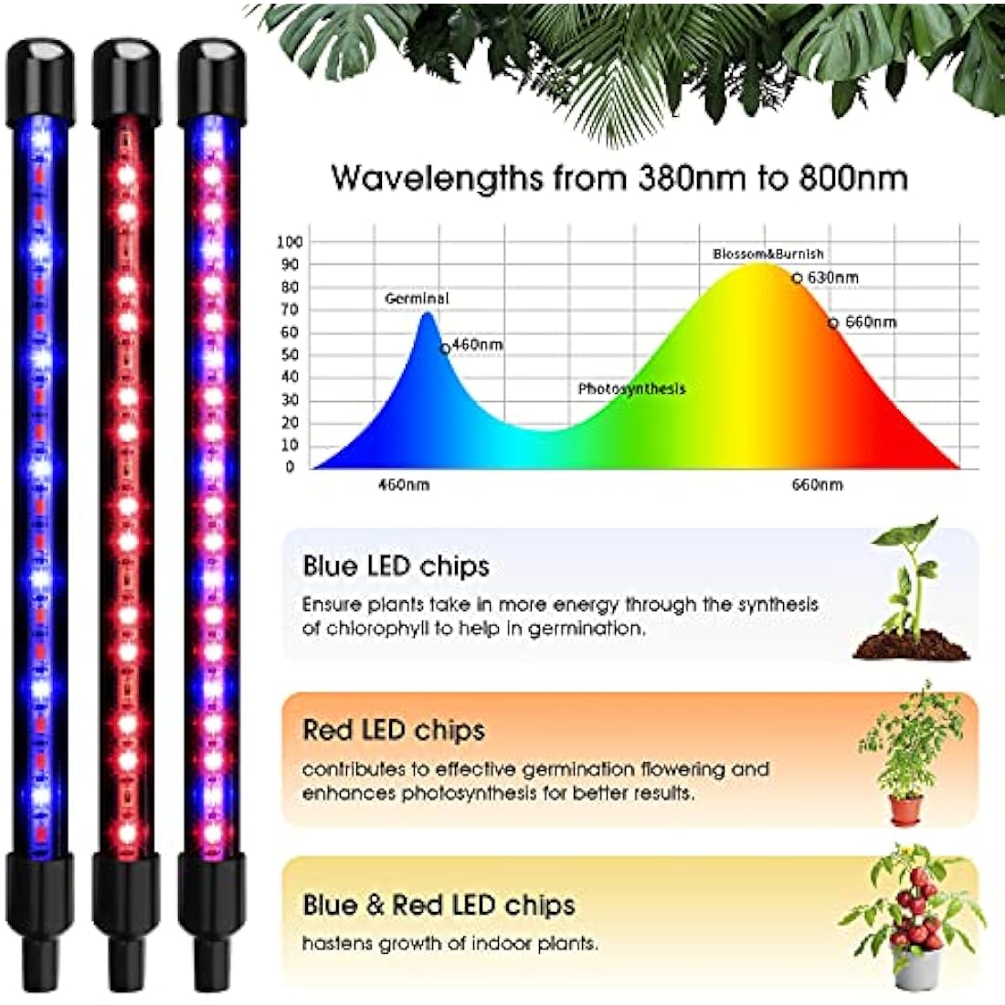 wolezek Grow Lights for Indoor Plants, 80 LEDs 4 Heads Full Spectrum Red & Blue Plant Light with Clip, Grow Lamp with 10 Dimming Level, 4/8/12H Auto Timer, 3 Switch Modes for Seedlings and Succulents