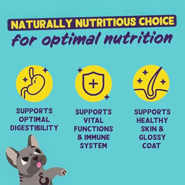 Edgard Cooper Senior Grain Free Dry Dog Food (Chicken & Salmon 7kg), Natural Kibble for Senior Dogs, Fresh Meat, High Protein, Gluten-Free, Non-GMO