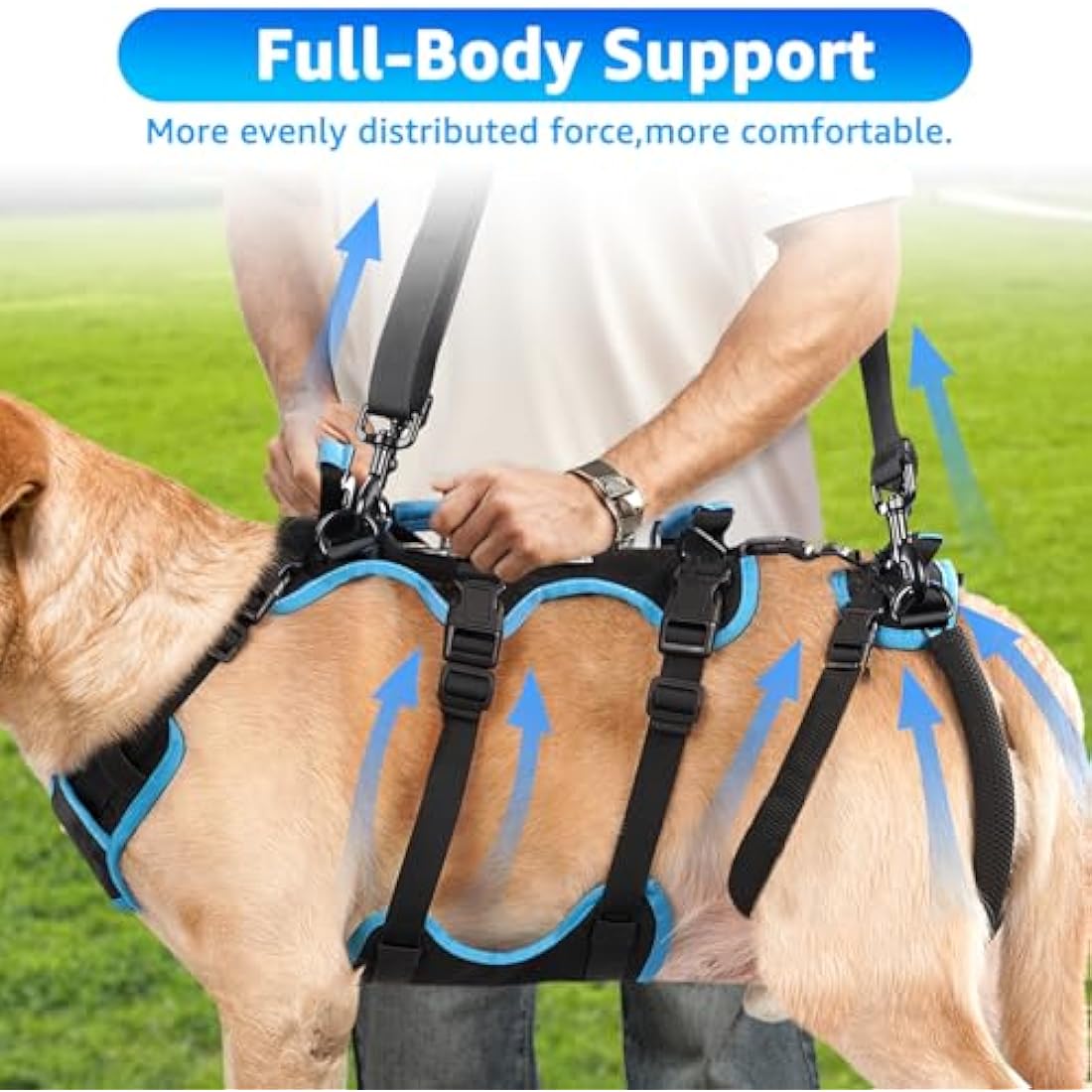 Lafoty Dog Lift Harness for Medium Male Dogs Friendly, Help Em Up Harness, Full Body Dog Carrying with Handles for Old/Disabled/Joint Injuries Dogs (Black, Medium)