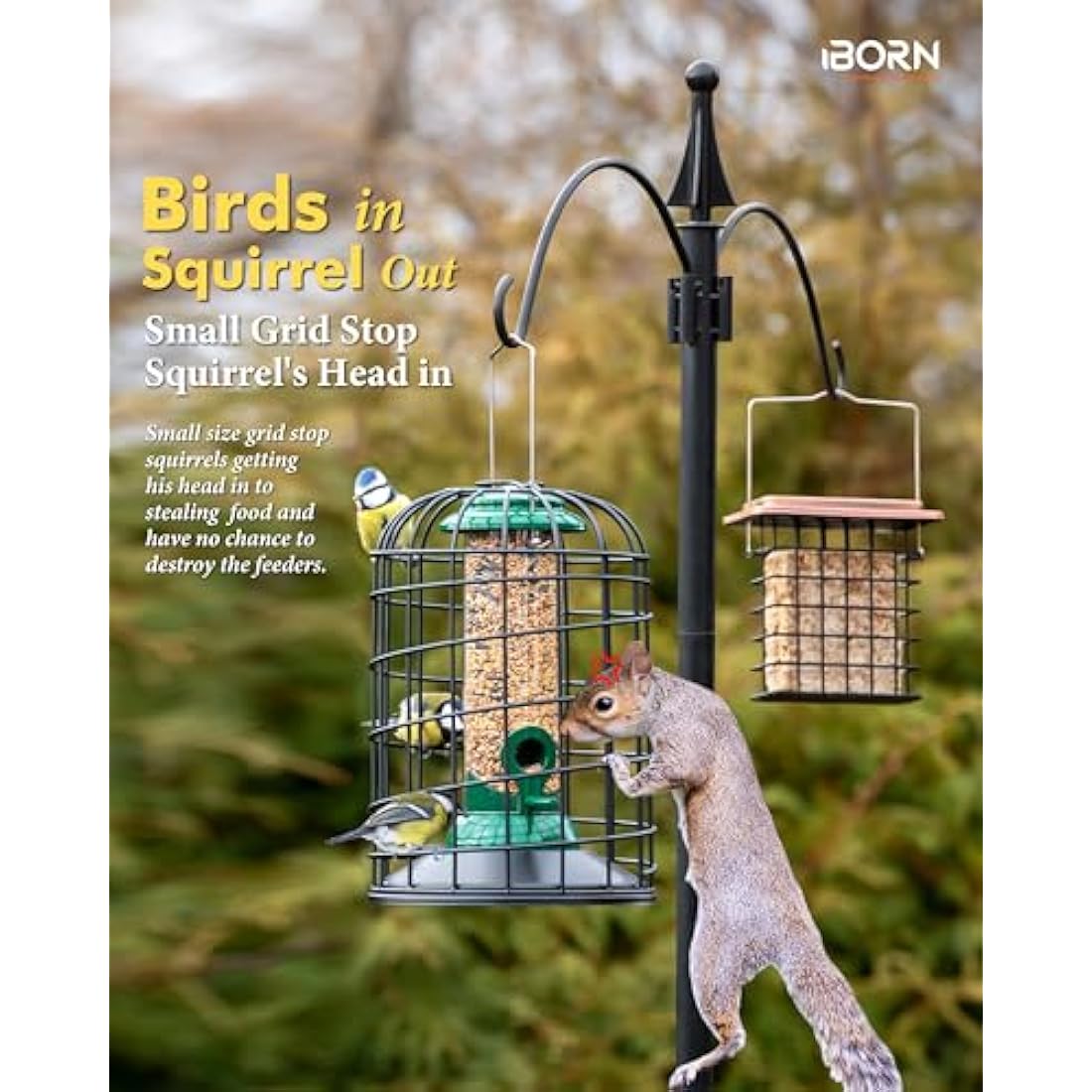 iBorn Squirrel Proof Bird Feeder with Squirrel, Pestoff Hanging Wild Bird Seed Feeder for Mix Seed Blends, Sunflower Heart, Birdbath, Heavy Duty All Metal Anti-UV Finishing, Green 8 Inch
