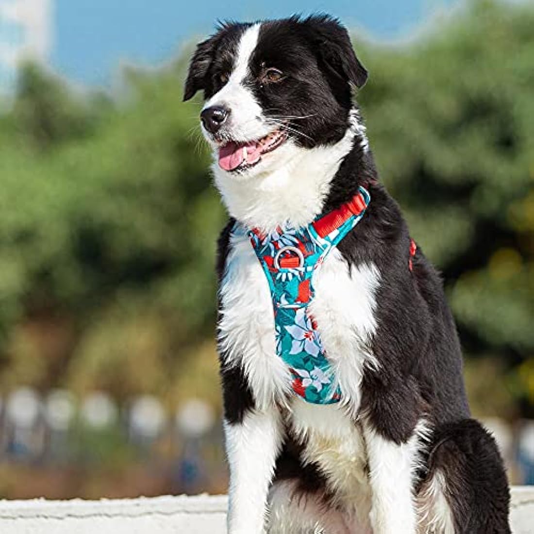 Dog Harness No Pull Adjustable Reflective Step-in Soft Nylon For Small Large Pet TLH5653(XL, Camouflage Blue)