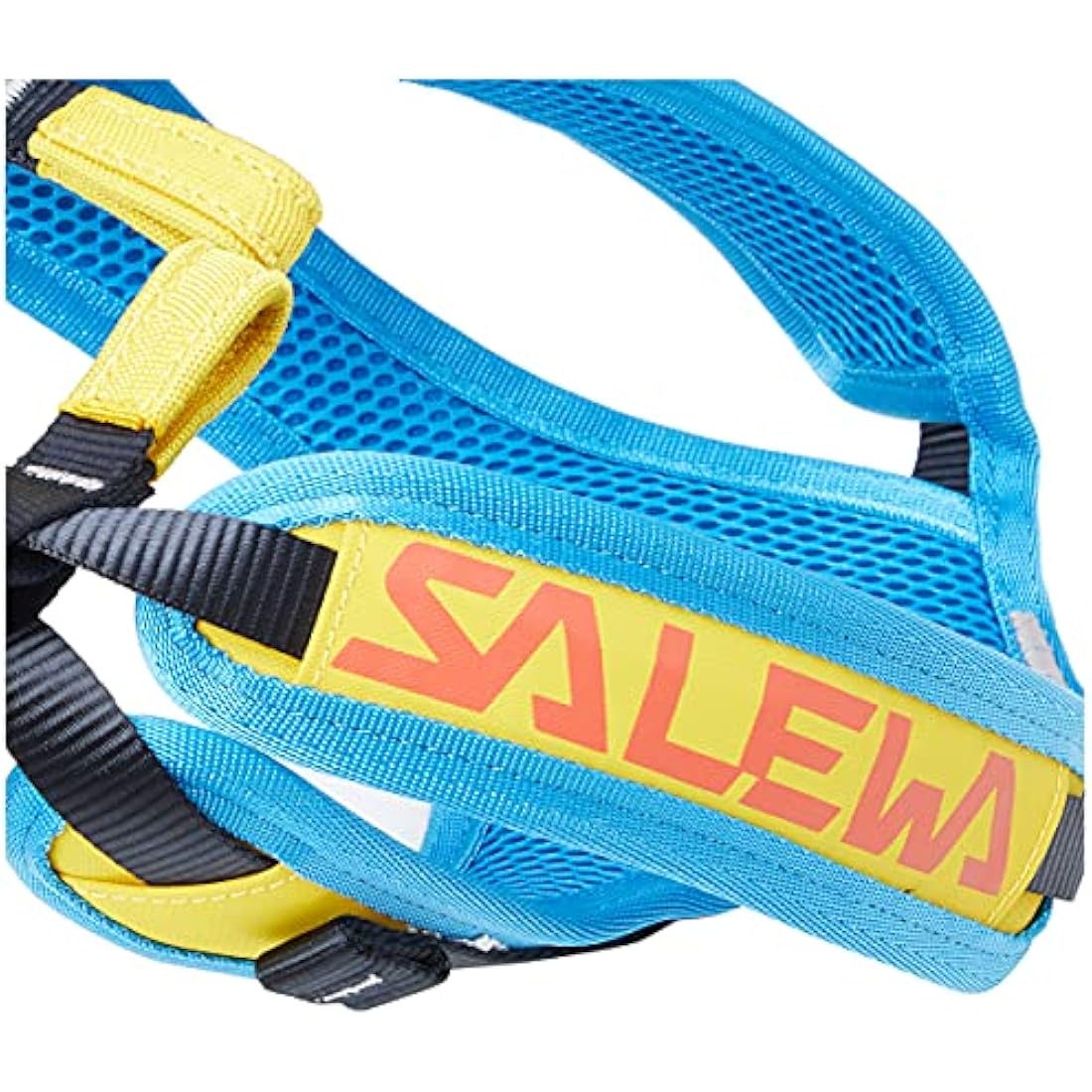 Salewa Children's Rookie climbing harness.