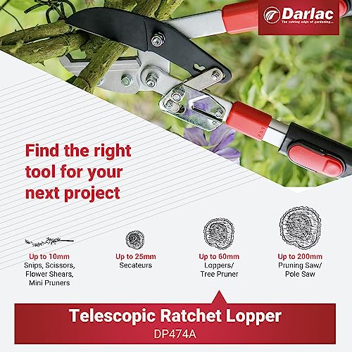 Darlac Telescopic Ratchet Lopper – Recommended by Professionals – Extendable Handles – Powerful Ratchet Action – 50mm Cut Capacity – Ideal for Gardeners with Dexterity Issues - SK5 Carbon Steel Blade