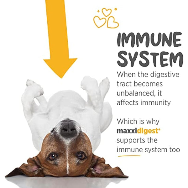 maxxipaws maxxidigest+ Probiotic & Prebiotic Powder Supplement - Digestive & Immune Support for Dogs, 375g