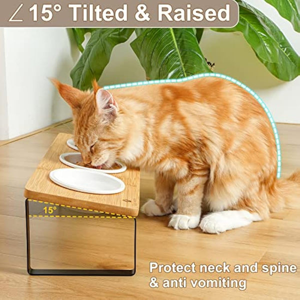 GUUSII HOME Raised Cat Bowl with Stand Kitty Dish Ergonomic Elevated Feeding Station 15° Tilted Ceramic Food and Water Bowls Set of 3 for Indoor Cats Pet Puppy Plate Anti Vomit Easy to Clean