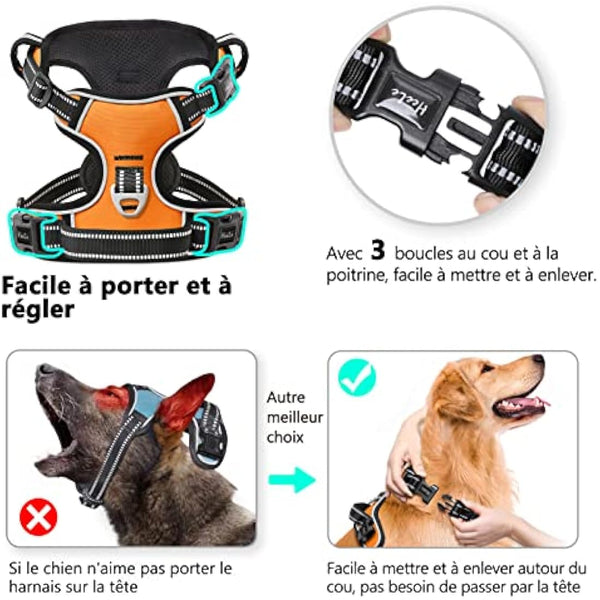 HEELE No Pull Dog Harness - Small, Reflective, Adjustable with Front & Back Leash Attachments & Soft Padded Control Handle - Orange, S
