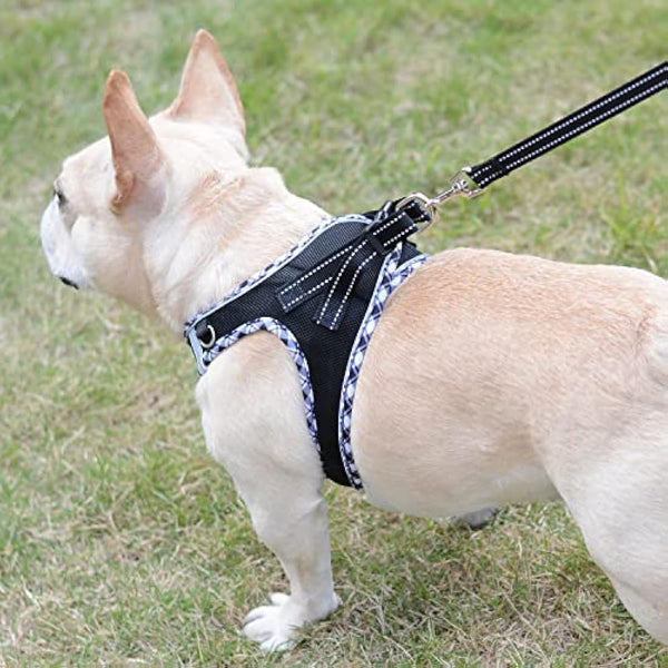 DORAMIO Step-in Dog Harness and Leash Set, Soft Mesh No-Chock Reflective Breathable Easy Walk Lightweight Vest Harnesses with Safety Buckle for Small Dogs, Cats, Puppies (Black White, XL)