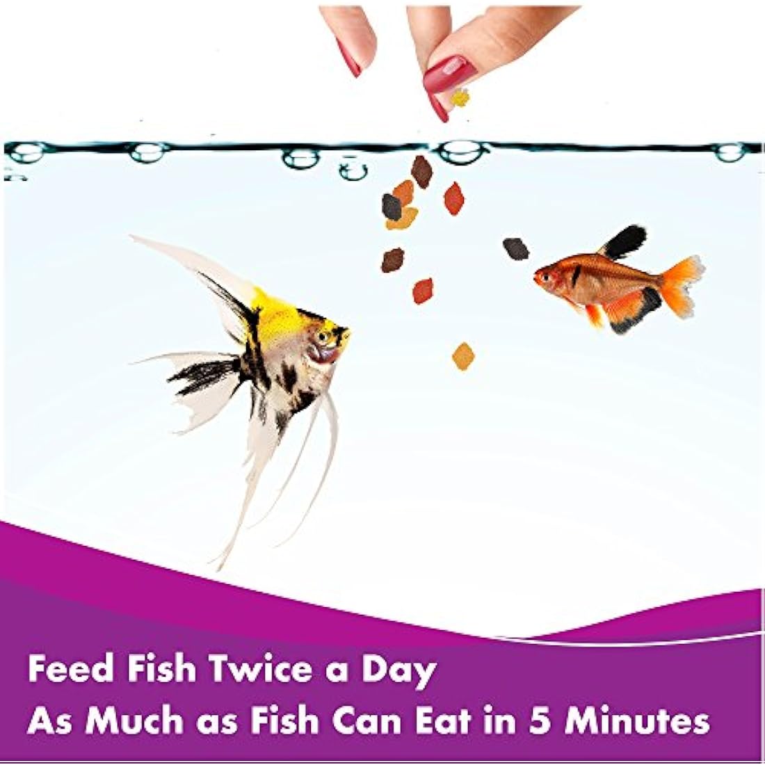 AQUARIAN Complete Nutrition, Aquarium Tropical Fish Food Flakes, 25g Container