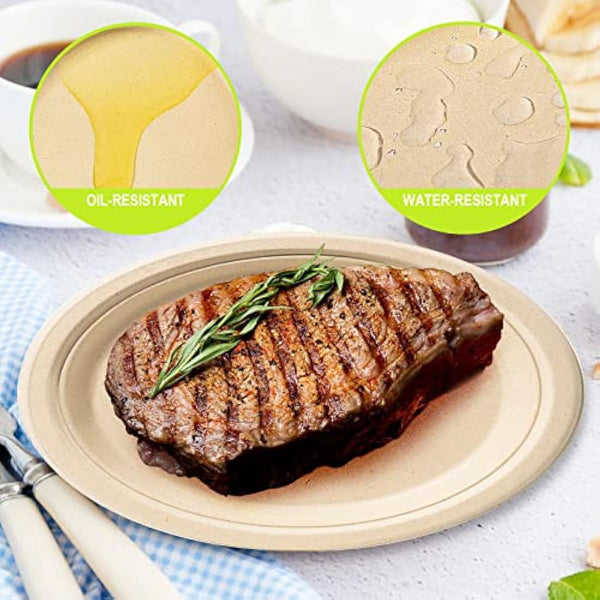 GREENESAGE Rigid 10 inch 100 Pack Disposable Paper Brown Plates Sugarcane Large Strong Dishes for Picnic Wedding Party BBQ