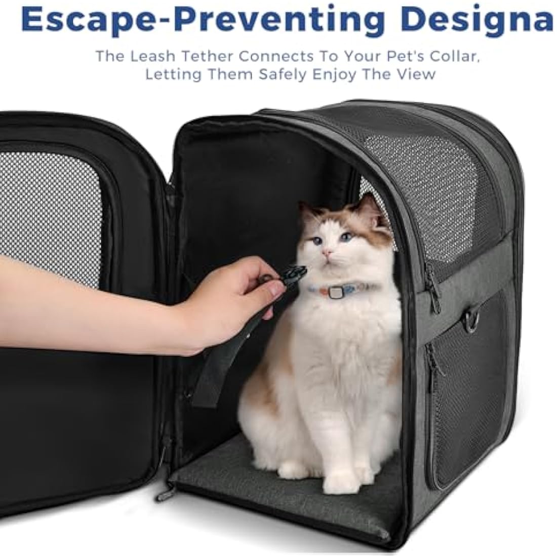 Apollo Walker Cat Carrier and Dog Carrier, for Large and Small Cat Pets (2-15 kg), Breathable Mesh Pet Carrier, Ideal for Hiking, Travel, and Outdoor Activities (Gray)