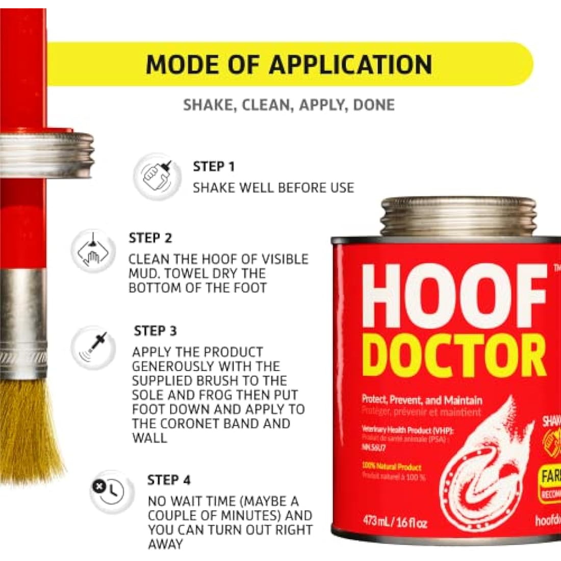 Hoof Doctor - White Line | Thrush | Abscesses | Quarter Crack | Seedy Toe | Corns and Sole Bruises - 100% All-Natural Hoof Care Product - Birch Bark Extract, Betulin, Omega-3 with Vits A & D (16 Oz)