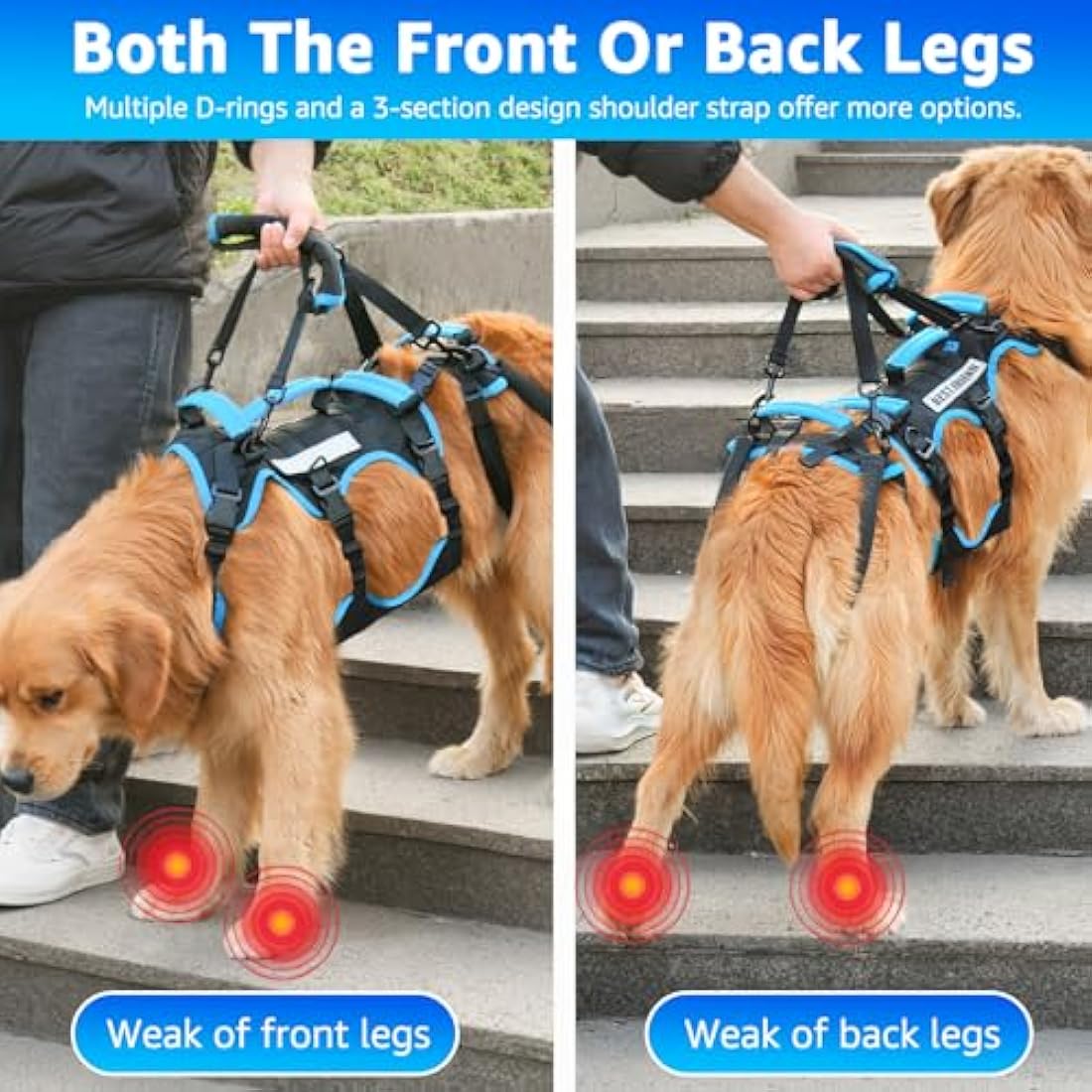 Lafoty Dog Lift Harness for Medium Male Dogs Friendly, Help Em Up Harness, Full Body Dog Carrying with Handles for Old/Disabled/Joint Injuries Dogs (Black, Medium)