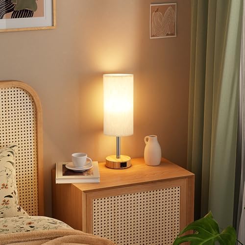 Aooshine Bedside Lamps Set of 2 Touch Table Lamps with USB-C USB-A Charging Ports, 3 Way Dimmable Bedside Lamp for Bedrooms, Small Touch Lamps for Living Room (Bulb Included)