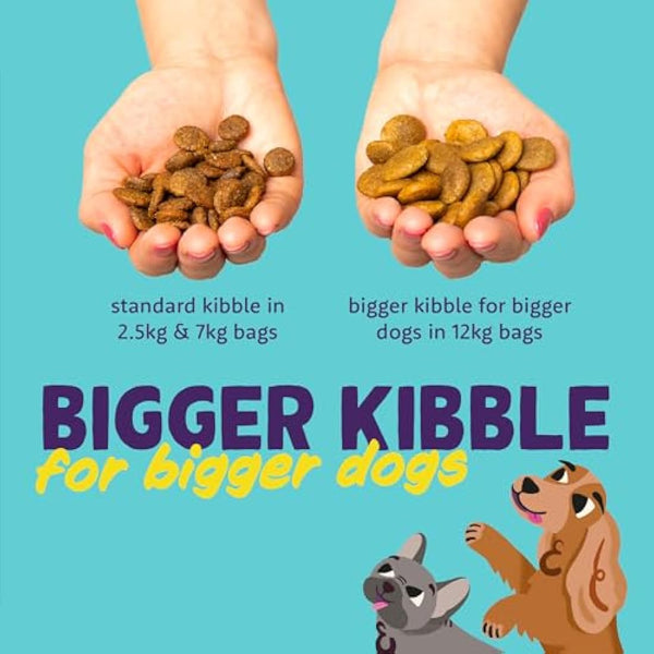 Edgard Cooper Senior Grain Free Dry Dog Food (Chicken & Salmon 7kg), Natural Kibble for Senior Dogs, Fresh Meat, High Protein, Gluten-Free, Non-GMO