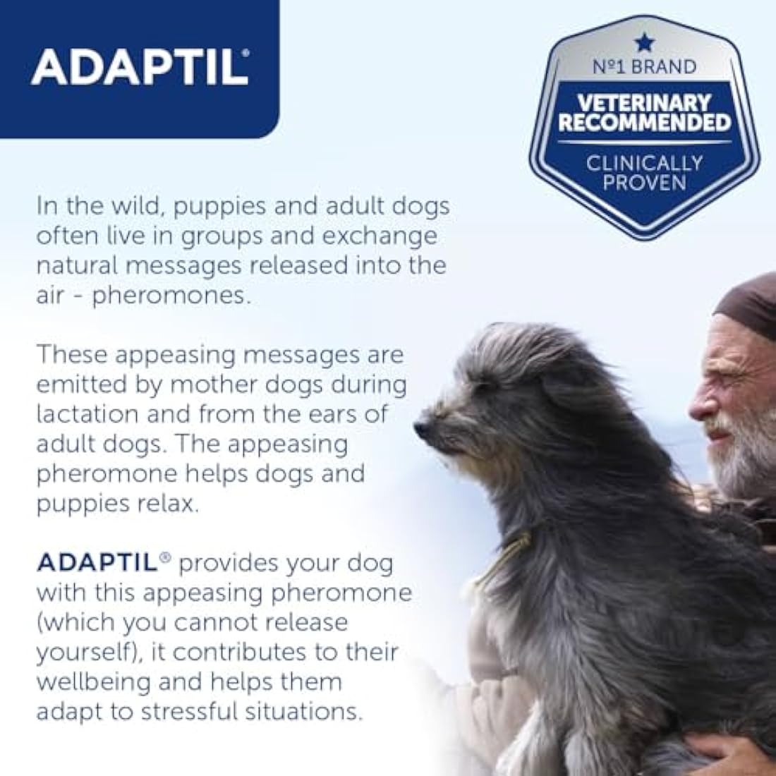 Adaptil Junior Adjustable Puppy Collar | Adaptil Dog Collar To Help Reduce Puppy Anxiety Using Natural Pheromones | Adjustable Calming Dog Collar For Puppies To Aid Training And Socialisation