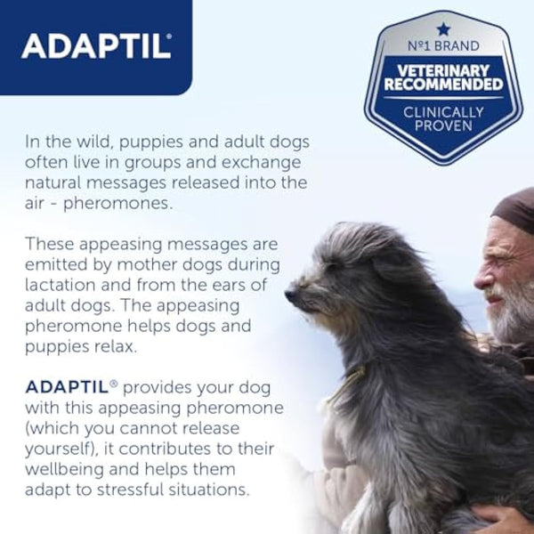 Adaptil Junior Adjustable Puppy Collar | Adaptil Dog Collar To Help Reduce Puppy Anxiety Using Natural Pheromones | Adjustable Calming Dog Collar For Puppies To Aid Training And Socialisation