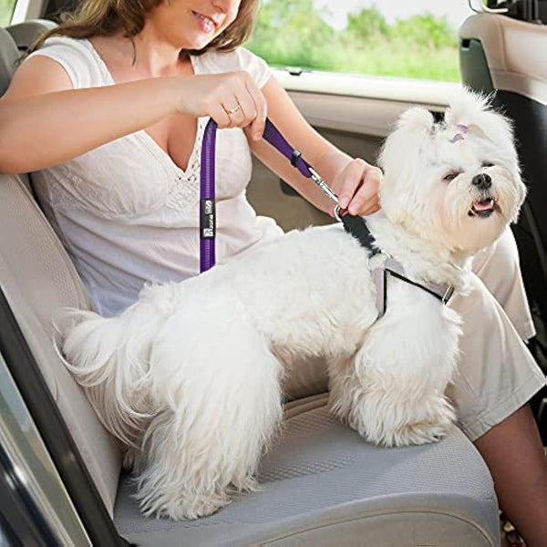 Headrest dog car seat belt 2 Pack Adjustable Durable Headrest Seat belt Pet Dog Car Safety Harness Restraint with Elastic Nylon Bungee Buffer