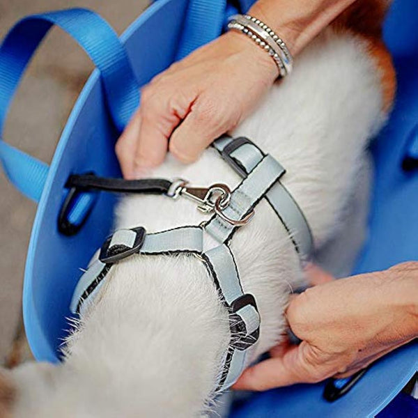 Ferplast Carrier bag for small dogs WITH-ME, EVA, Soft rubber plastic, washable, Adjustable handles, Safety belt included, 21.5 x 43.5 x h 27 cm Dove grey