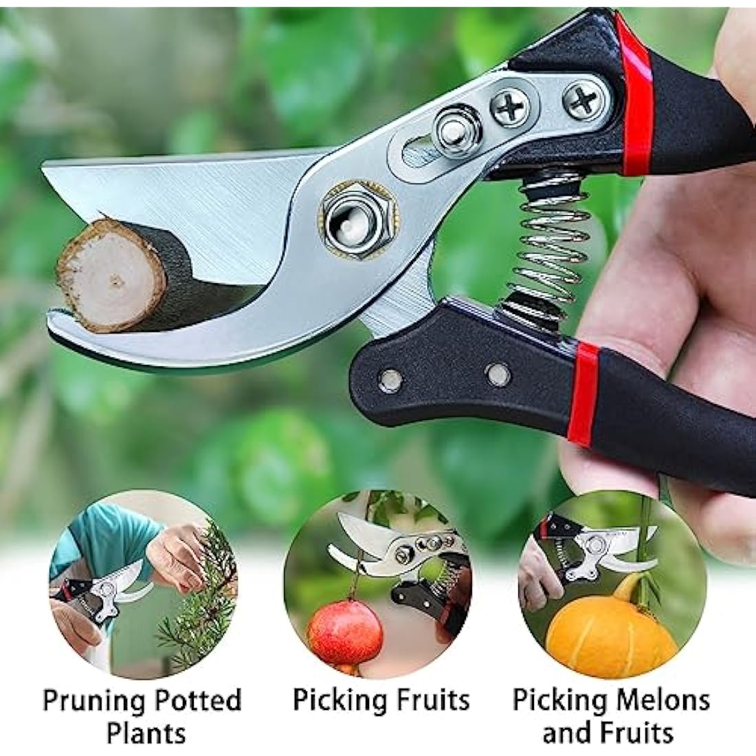 Kynup Secateurs Pruning Scissors, Gardening Pruning Shears, Garden Scissors, Hedge & Garden Shears, Clippers for Plants, Gardening, Trimming, Garden Tool(Black)