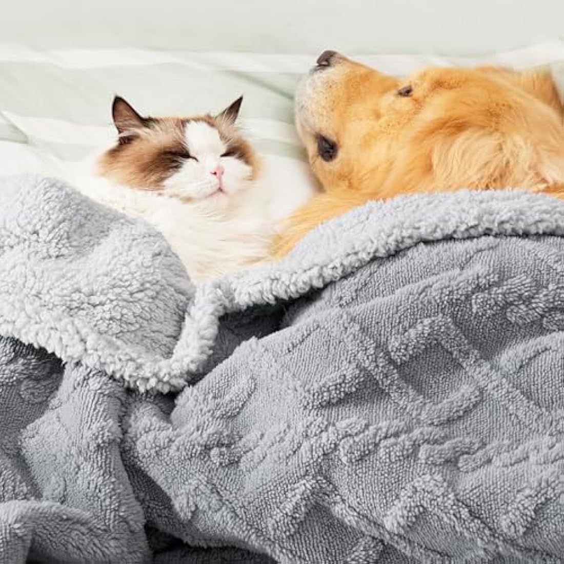 LE SURE Washable Dog Blanket Extra Large - 152x203cm Waterproof Blanket for Dogs and Cats, Twin Patterned Bed and Sofa Couch Throw Protector with Soft Plush, Grey