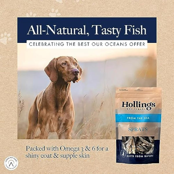 Hollings Sprats Dog Treats, 100% Natural with Fresh Fish Air Dried Treats for Dogs, Hypoallergenic and Grain Free 100g (Pack of 10)