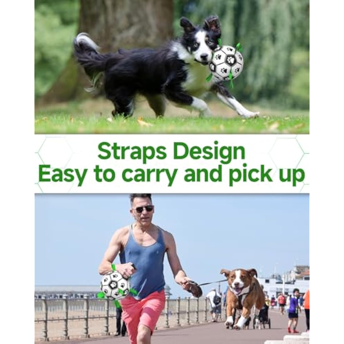 HETOO Interactive Dog Football Toys with Grab Tabs, Durable Dog Water Balls for Small Medium Breed, Indoor & Outdoor (6 Inch)