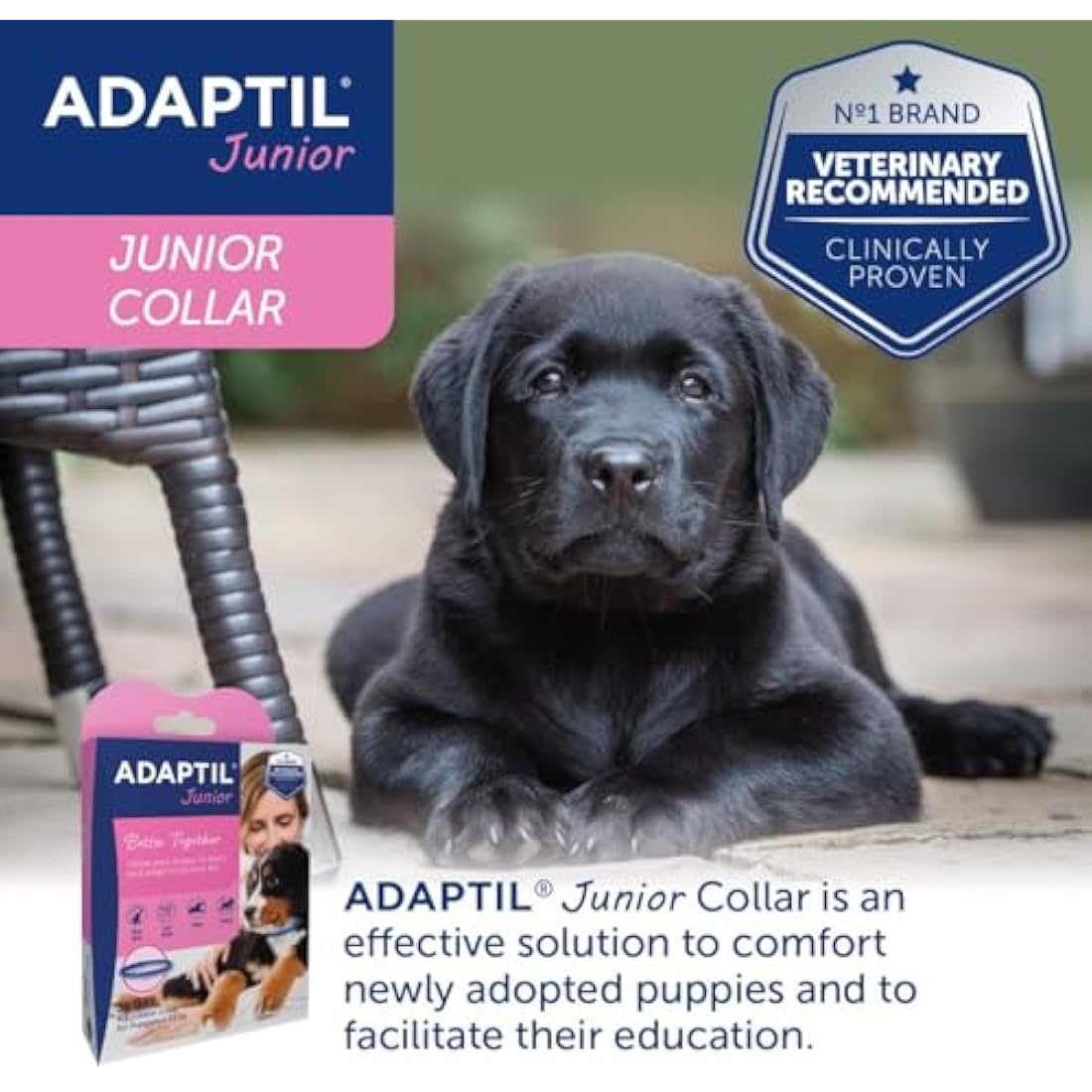 Adaptil Junior Adjustable Puppy Collar | Adaptil Dog Collar To Help Reduce Puppy Anxiety Using Natural Pheromones | Adjustable Calming Dog Collar For Puppies To Aid Training And Socialisation