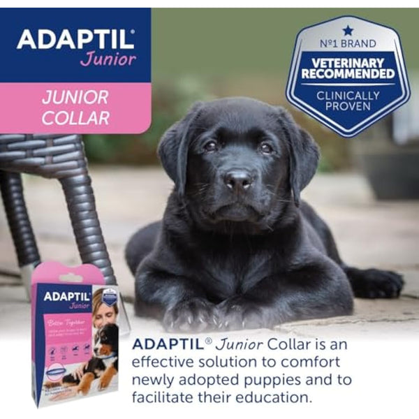 Adaptil Junior Adjustable Puppy Collar | Adaptil Dog Collar To Help Reduce Puppy Anxiety Using Natural Pheromones | Adjustable Calming Dog Collar For Puppies To Aid Training And Socialisation