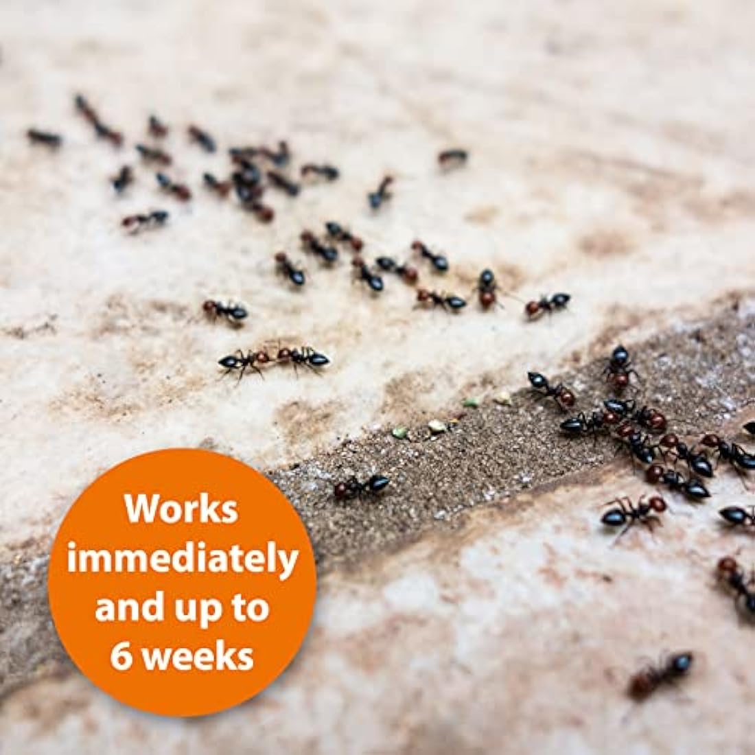 ARDAP Pest Control Spray 750ml - Fly Spray, Bug Spray, Spider Repellent & Insect Killer - Insect spray to combat acute vermin and insect infestation - Insecticide Spray with Long-term protection