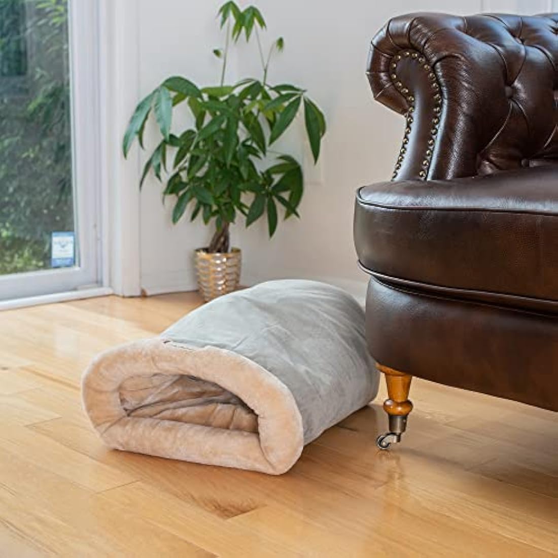 ARMARKAT Sage Green Cat Bed Size, 22-Inch by 14-Inch