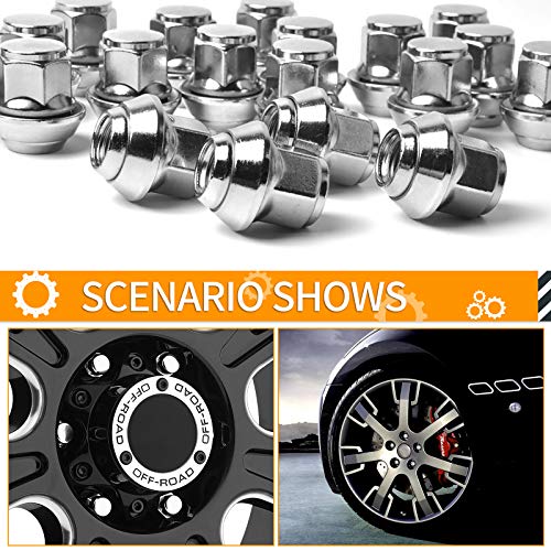 MIKKUPPA M12x1.5 Alloy Wheel Nuts - 19mm Hex Replacement for Ford, fiesta, Kuga, Alloy Wheels (20Pcs, Chrome)