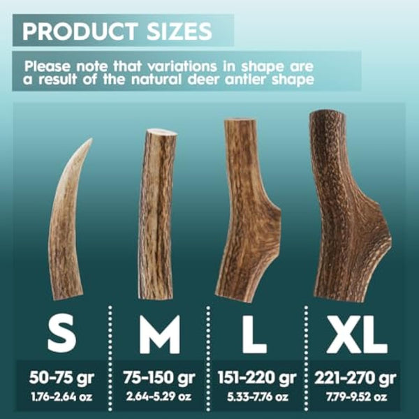AmeizPet Antler Chews For Dogs - All Natural Dog Chews, Long Lasting Elk Antler Bones for Dog, Durable Deer Antlers For Dogs – 2pcs XL Size Deer Antlers