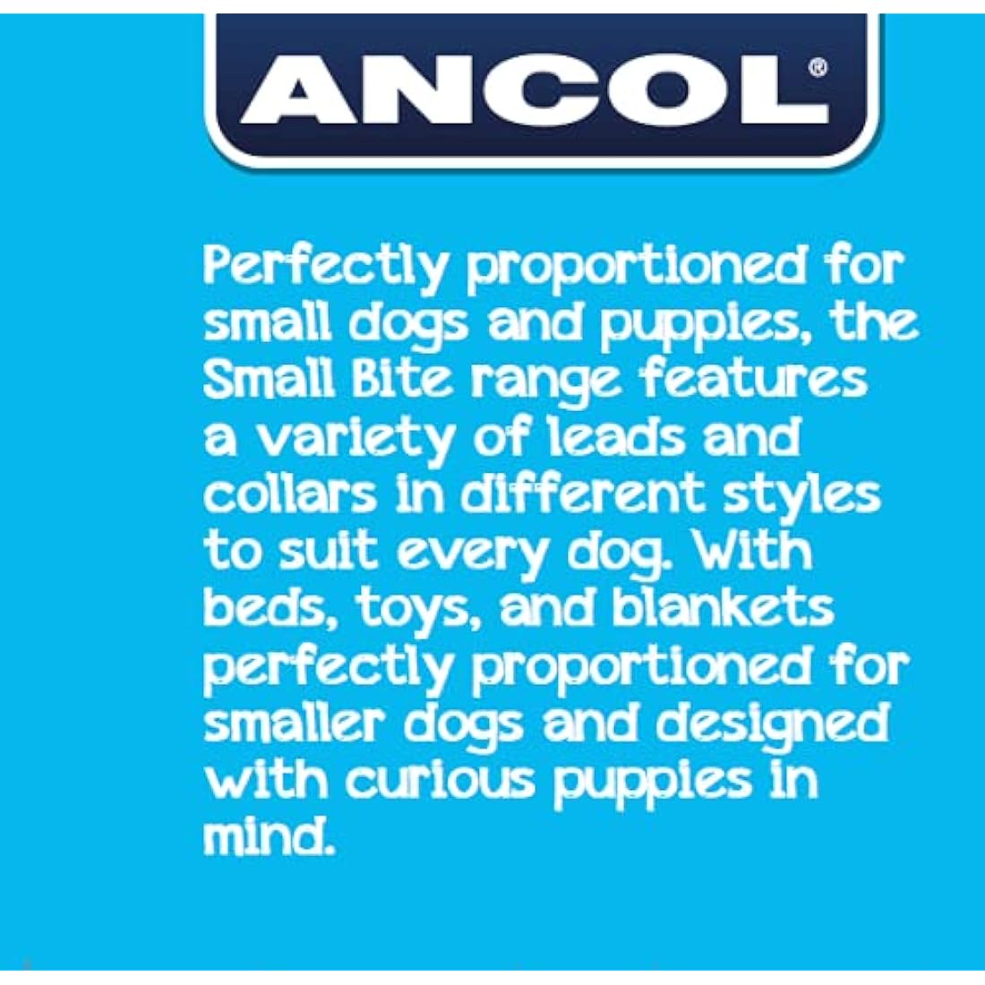 Ancol Small Bite Stars Collar and Lead Set Blue Adjustable Design for Puppies and Small Dogs - 1m Lead with Soft Webbing - 20-30cm