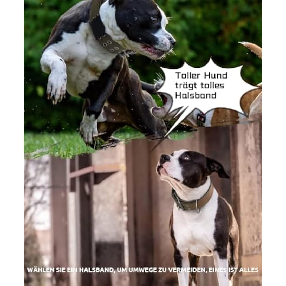 HQSHNY Dog Collar for Large Dogs - 5 cm Wide, Sturdy Design with Handle for Extra Large Dog Breeds, Soft Padded Neoprene Nylon, Red, 43-56 cm