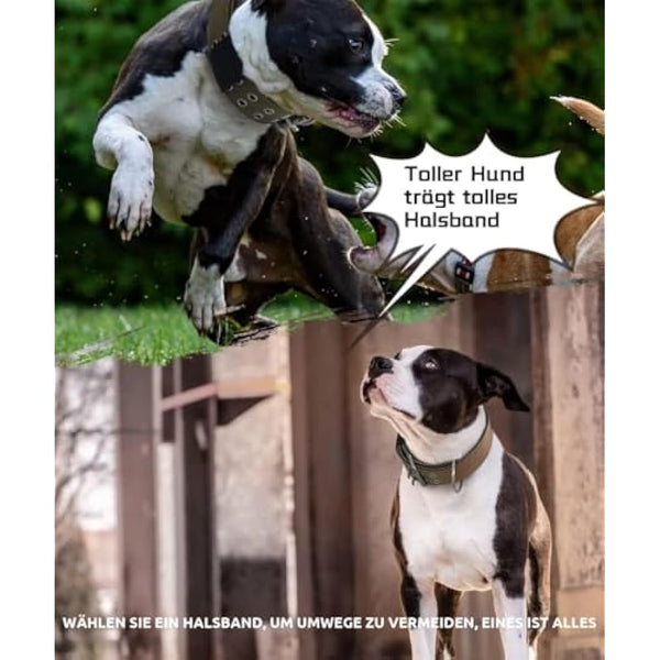 HQSHNY Dog Collar for Large Dogs - 5 cm Wide, Sturdy Design with Handle for Extra Large Dog Breeds, Soft Padded Neoprene Nylon, Red, 43-56 cm