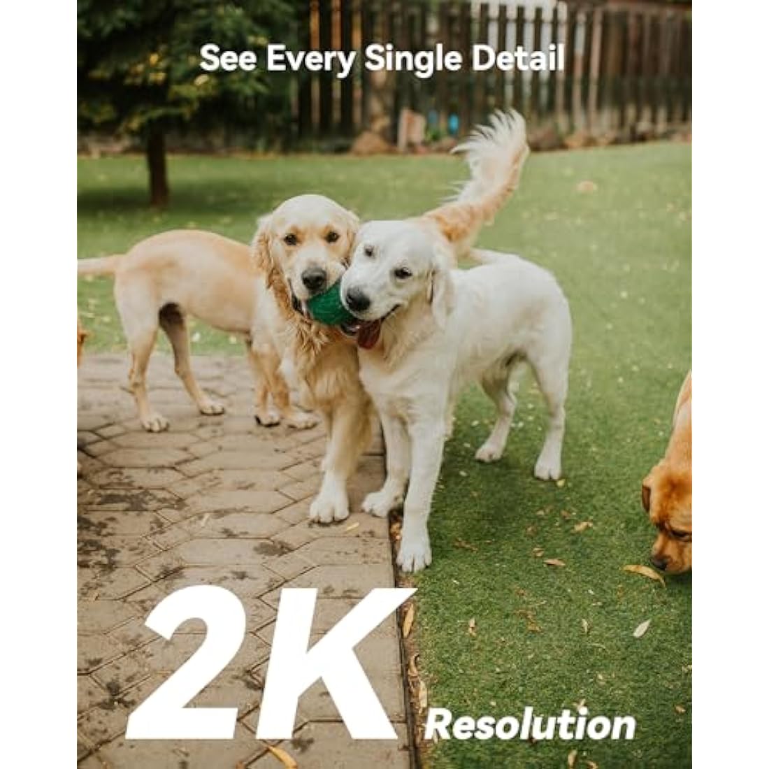 Imou 2K Outdoor Security Camera with AI Human/Vehicle Detecion, 360° PTZ WiFi Outdoor Camera Home IP CCTV with 30m Color Night Vision, Auto Motion Tracking, 2-way Audio, IP66, Siren Spotlight