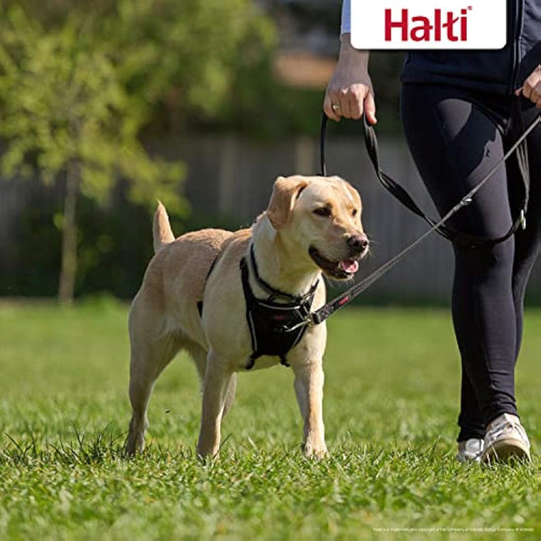 HALTI No Pull Harness Size Medium & HALTI Training Leash Size Large, Black Combination Pack - Stop Your Dog Pulling on the Leash. Adjustable, Lightweight and Easy to Use. Suitable for Medium Dogs
