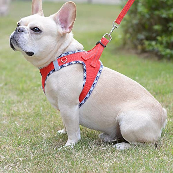 DORAMIO Step-in Dog Harness and Leash Set, Soft Mesh No-Chock Reflective Breathable Easy Walk Lightweight Vest Harnesses with Safety Buckle for Small Dogs, Cats, Puppies (Red, XL)