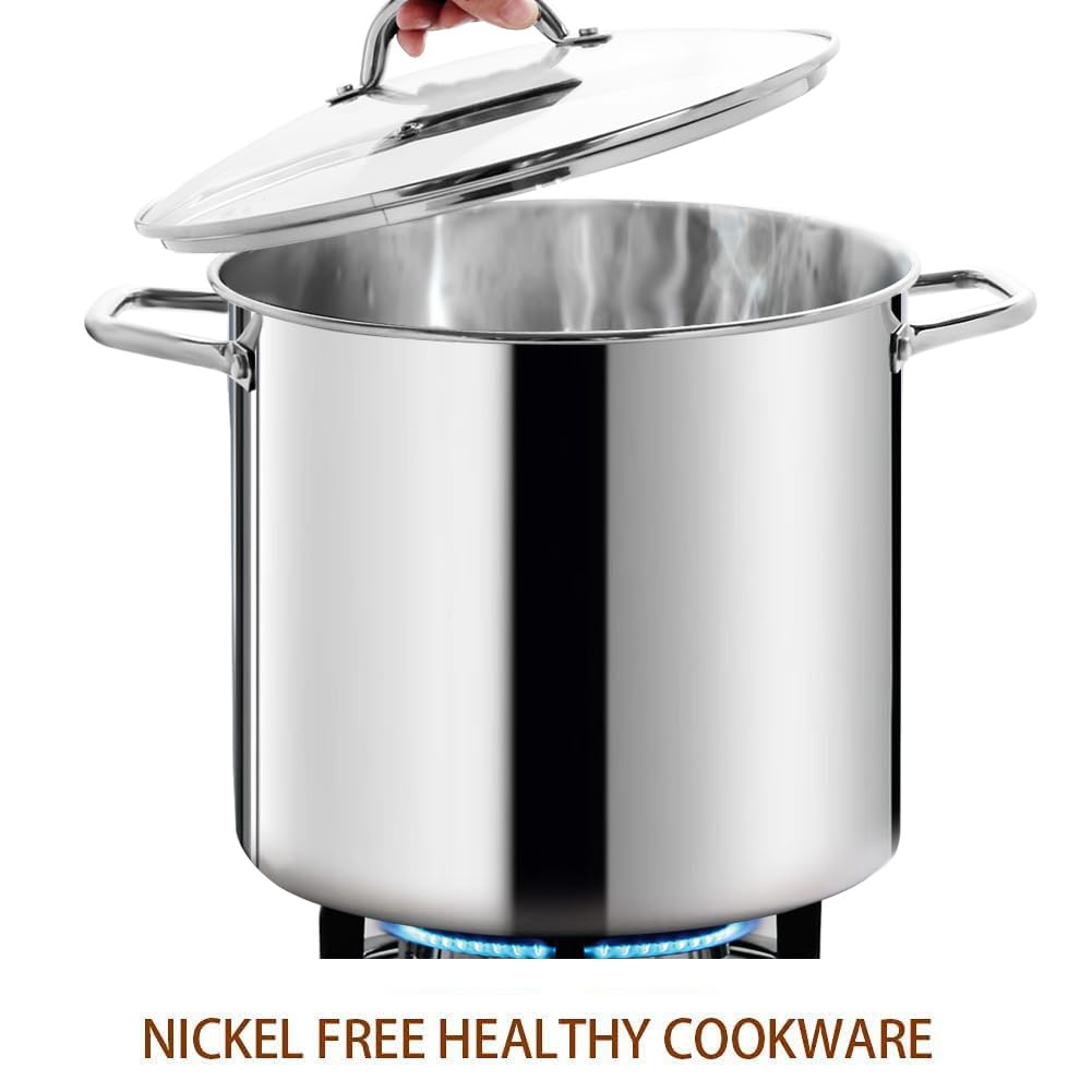 HOMICHEF Large Nickel Free Stainless Steel Stock Pot with Lid (31 cm, 22.5 Litre) - Mirror Polished Stock Pot with Lid - Heavy Soup Pot Large Cooking