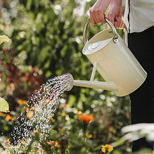 Kent & Stowe 4.5 Litre Vintage Cream Watering Can, Galvanised Steel Can for Daily Watering, Classic English Style Jug with 2 Handles